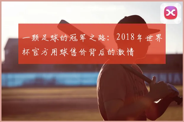 一颗足球的冠军之路：2018年世界杯官方用球售价背后的激情