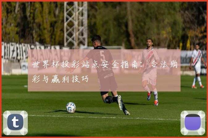 世界杯投彩站点安全指南：合法购彩与赢利技巧