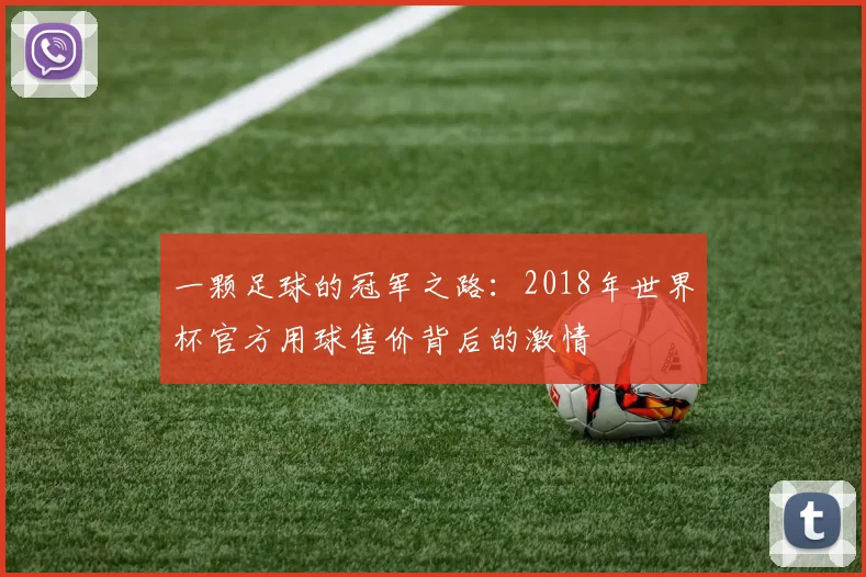 一颗足球的冠军之路：2018年世界杯官方用球售价背后的激情