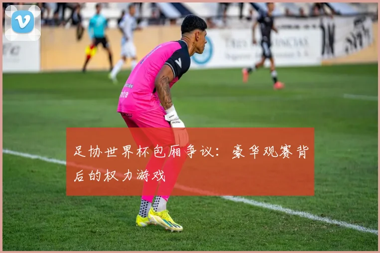 足协世界杯包厢争议：豪华观赛背后的权力游戏