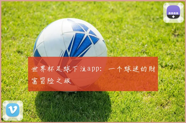 世界杯足球下注app:一个球迷的财富冒险之旅